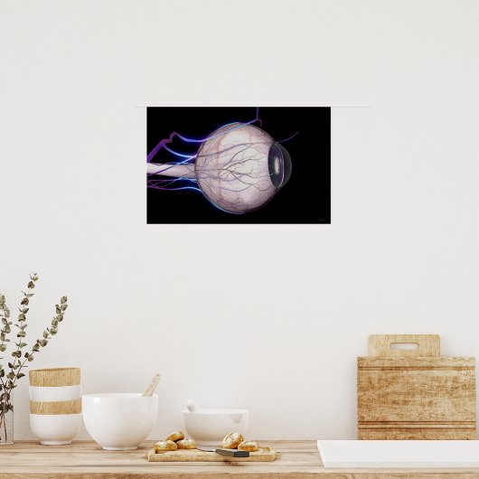 Blutgefäße des Auges Poster (Küche)