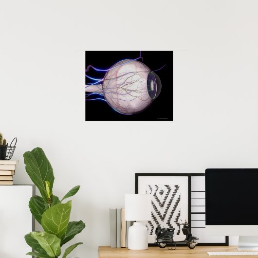 Blutgefäße des Auges Poster (Heimbüro)