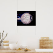 Blutgefäße des Auges Poster (Küche)