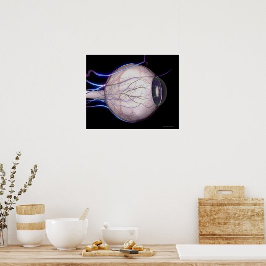 Blutgefäße des Auges Poster (Küche)