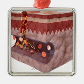 Blutgerinsel-Bildung Silbernes Ornament (Vorne)