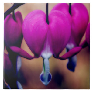 Bluthochdruck Rosa Blutungen Herz Fliese