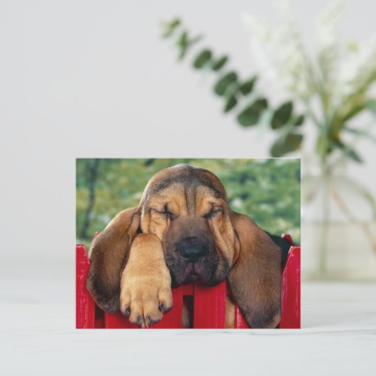 BlutHound Postkarte (Stehend Vorderseite)