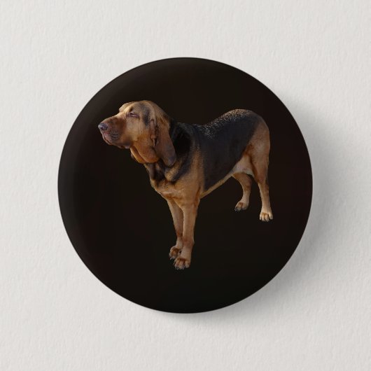Bluthund Button (Vorderseite)