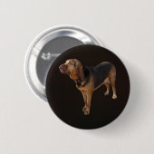 Bluthund Button (Vorne & Hinten)