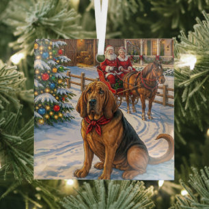 Bluthund-Feiertag Ornament Aus Glas