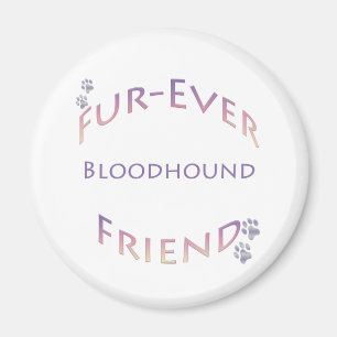 Bluthund Furever Magnet