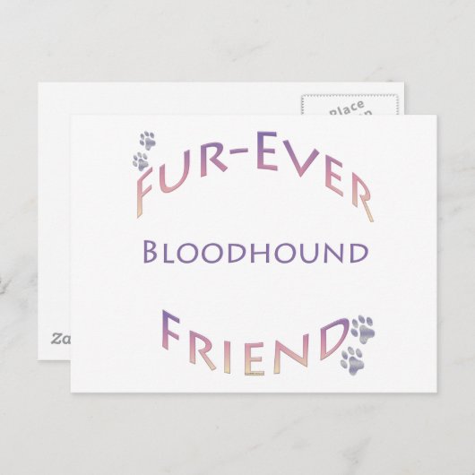 Bluthund Furever Postkarte (Vorne/Hinten)
