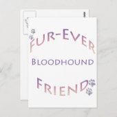 Bluthund Furever Postkarte (Vorne/Hinten)
