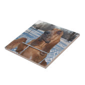 Bluthund-Gesicht Fliese (Seite)