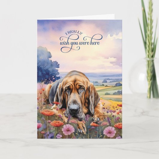 Bluthund-Hund-Wildblumen-Fehlende-Dich Karte (Vorderseite)