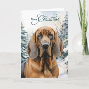 Bluthund Hund Winter Wald Weihnachten