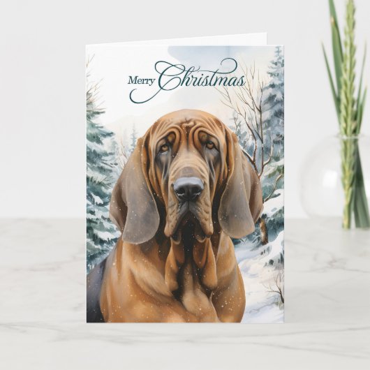 Bluthund Hund Winter Wald Weihnachten (Vorderseite)