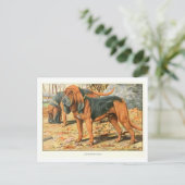 Bluthund-Hunde Postkarte (Stehend Vorderseite)