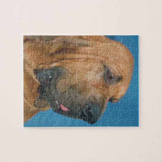 Bluthund-Hundepuzzlespiel Puzzle (Horizontal)