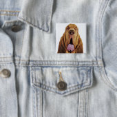 Bluthund (Jagdhund St. Hubert) mit geschlossenen Button (Beispiel)