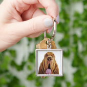 Bluthund (Jagdhund St. Hubert) mit geschlossenen Schlüsselanhänger (Hand)