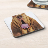 Bluthund (Jagdhund St. Hubert) mit geschlossenen Untersetzer (Linke Seite)