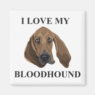 Bluthund-Liebe Magnet