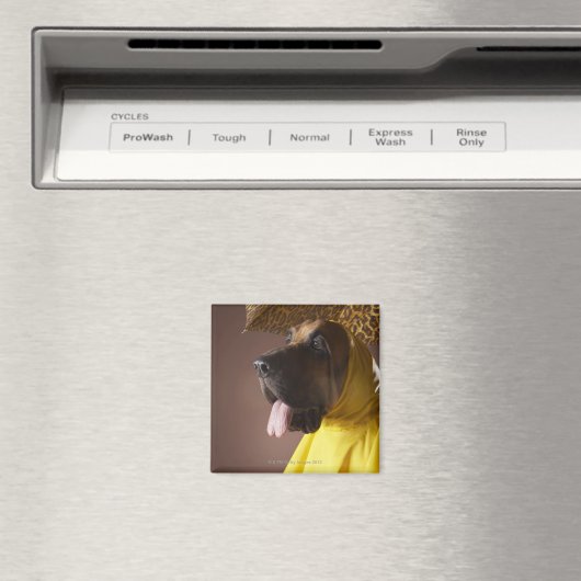 Bluthund. Magnet (In Situ (Geschirrspüler))