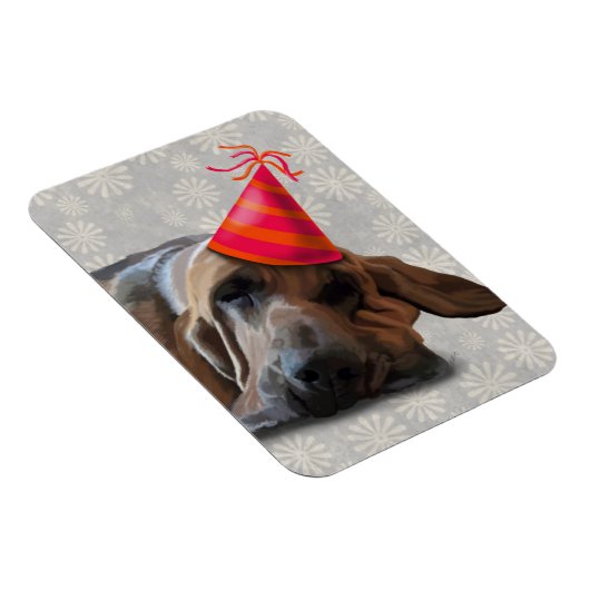 Bluthund nach dem Party Magnet (Rechte Seite)