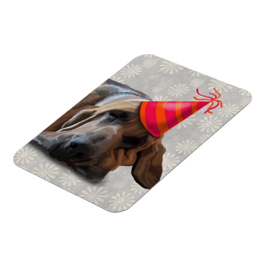 Bluthund nach dem Party Magnet (Linke Seite)