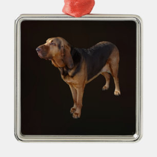 Bluthund Ornament Aus Metall