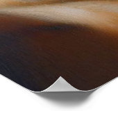 Bluthund Poster (Ecke)