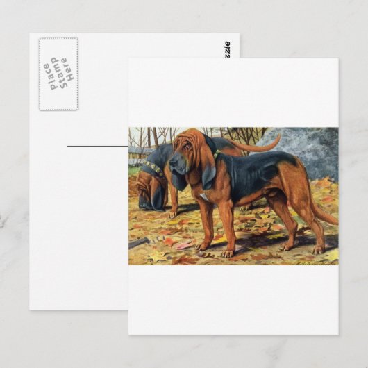 Bluthund Postkarte (Vorne/Hinten)