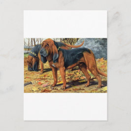 Bluthund Postkarte