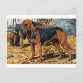 Bluthund Postkarte