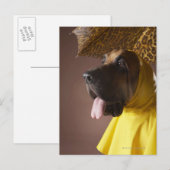 Bluthund. Postkarte (Vorne/Hinten)