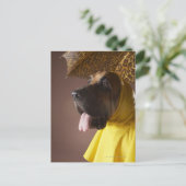 Bluthund. Postkarte (Stehend Vorderseite)