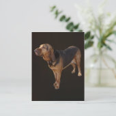 Bluthund Postkarte (Stehend Vorderseite)