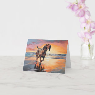 Bluthund Sandy Paws am Strand bei Sonnenuntergang Karte