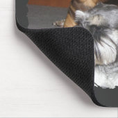 Bluthund und Zwergschnauzer Mousepad (Ecke)