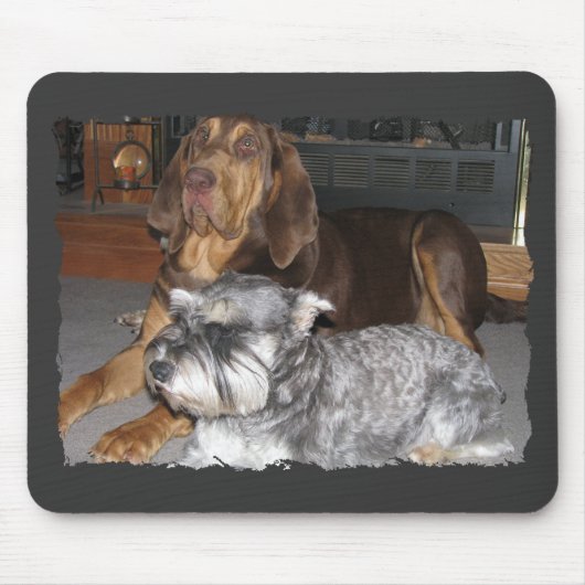 Bluthund und Zwergschnauzer Mousepad (Vorne)