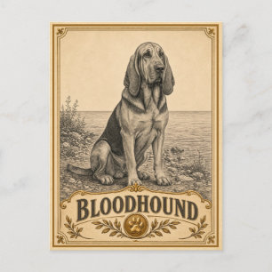 Bluthund, Vintage Heritage Hund Postkarte