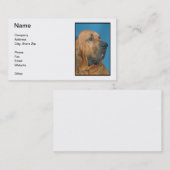 Bluthund-Visitenkarte Visitenkarte (Vorne/Hinten)