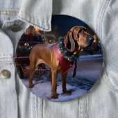 Bluthund Weihnachtsfestliche Saison Button (Beispiel)