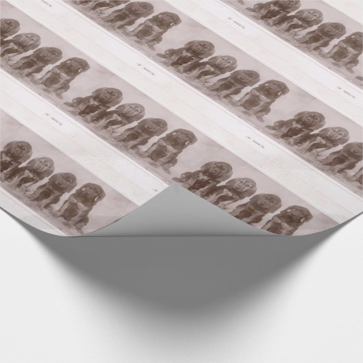 Bluthund-Welpen Geschenkpapier (Ecke)