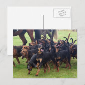 Bluthunde Postkarte (Vorne/Hinten)