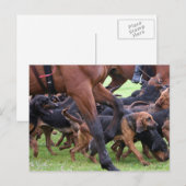 Bluthunde Postkarte (Vorne/Hinten)