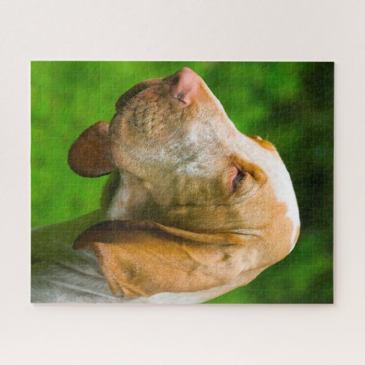 Bluthunden Puzzle (Horizontal)