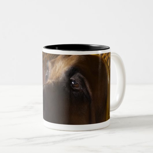 Bluthundhund Zweifarbige Tasse (VorderseiteRechts)