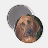 blutig magnet (Vorderseite/Rückseite)