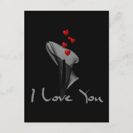 Blutlilie Postkarte (Vorderseite)