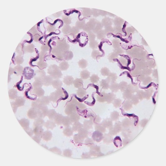 Blutparasit Trypanosoma Runder Aufkleber (Vorderseite)