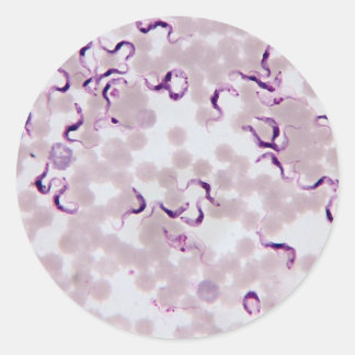 Blutparasit Trypanosoma Runder Aufkleber