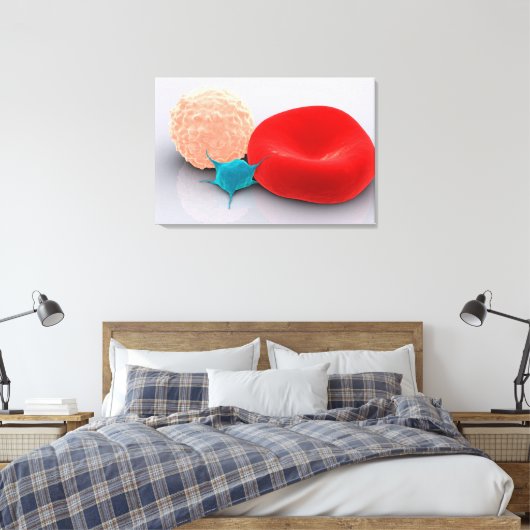 Blutplättchen, rote und weiße Blutkörperchen Leinwanddruck (Insitu (Schlafzimmer))